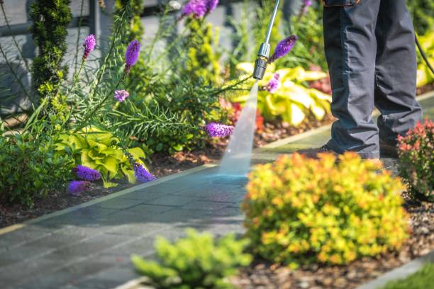 Reliable Hereford, TX Pressure Washing Services Solutions